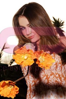 normal_photoshoot_004 (1)