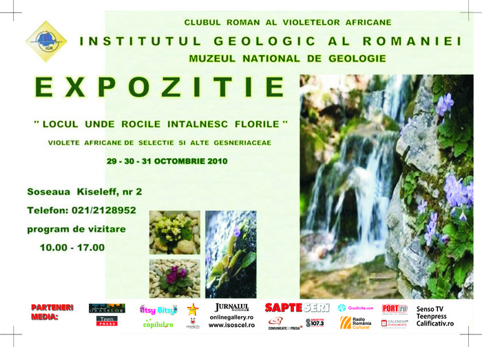 EXPO 1 - A 2010 - 29-30-31 Octombrie Expozitie Violete Africane