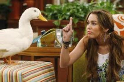 imagestr - EPISOADE CU HANNAH MONTANA