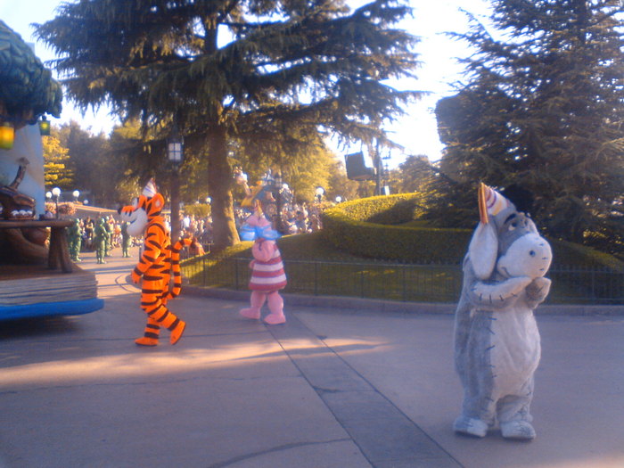 DSC00602 - Disneyland Paris 2010