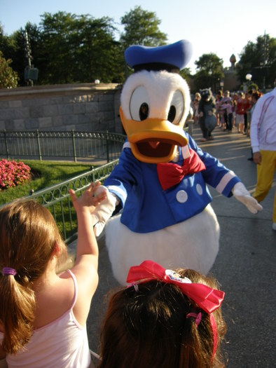 P7070601 - Disneyland Paris 2010