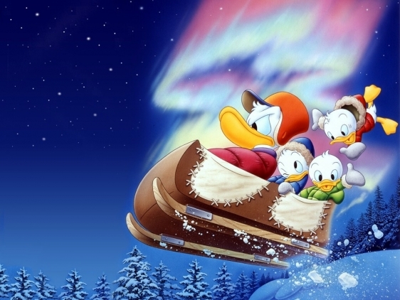 image_large - 0-0donald duck