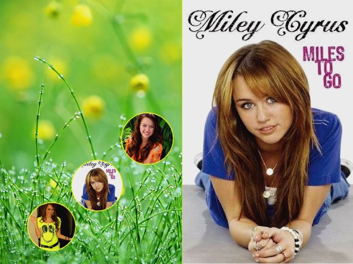 98090 - miley poze modificate