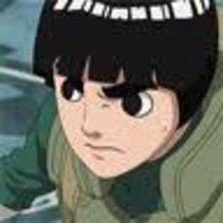 CACPY3S1 - rock lee