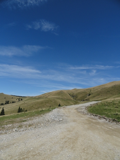 DSC00573 - Busteni 2010