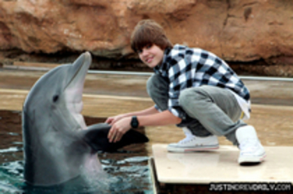 16821981_IZSSOEMFT[1] - justin bieber