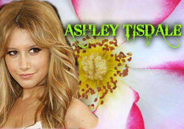 Ashley Tisdale - 01 Colega cea noua