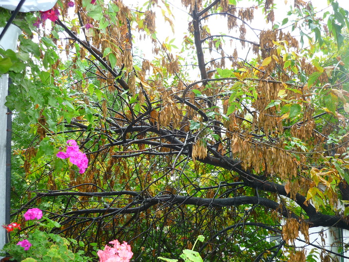 30 sept 2010