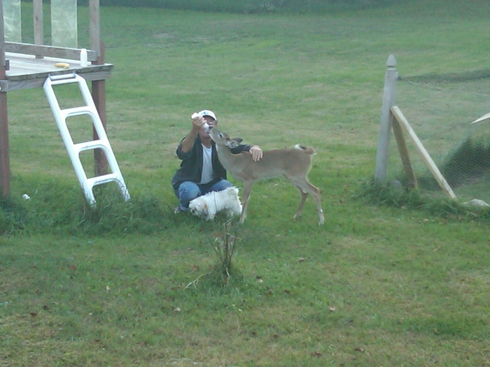 bamby si roky la Costel in ograda