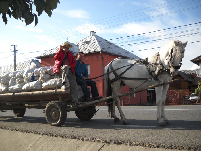 Are permis de hipo.