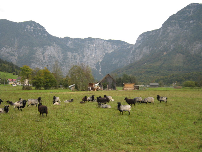 Dachstein--aici o sa urcam - hallstat-dachstein welterbe