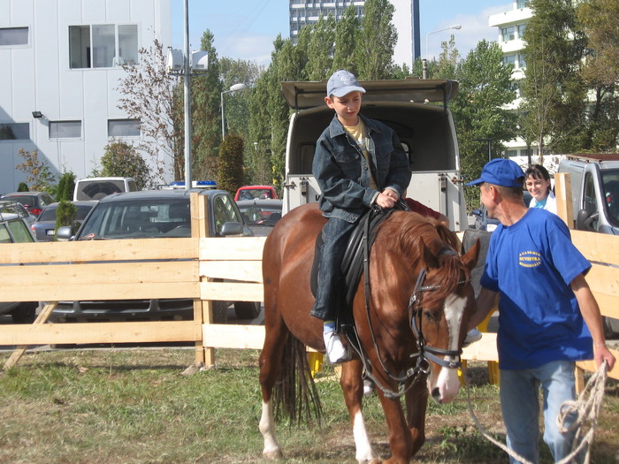 IMG_7018 - Targ de toamna Constanta 2010