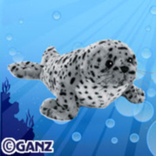 15269594_CXRQXCAPT[1] - Webkinz