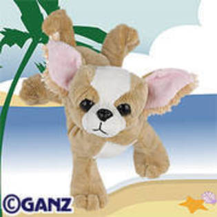 JNSLHJEXCPCPXBHRDQI[1] - Webkinz
