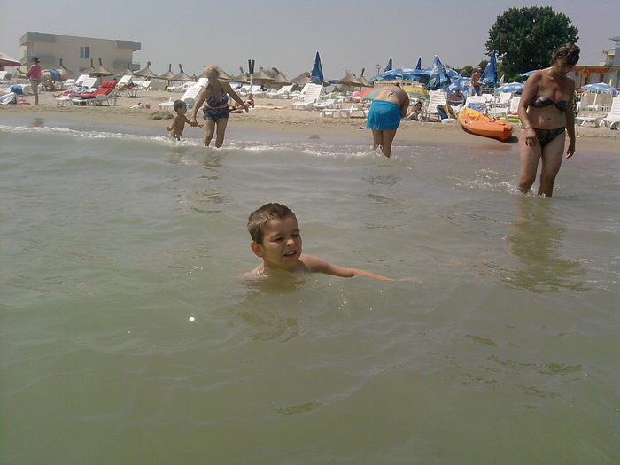 mangalia 2010 - ALTA RASA DE IEPURASI