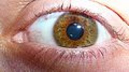 120px-Eye_big - ce culoare de ochi vi se pare mai ciudata