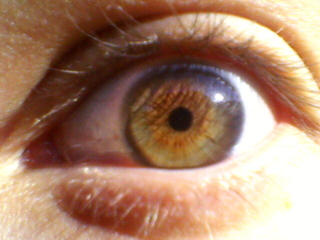 Fotografie-0027 - ce culoare de ochi vi se pare mai ciudata