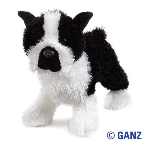 boston - webkinz