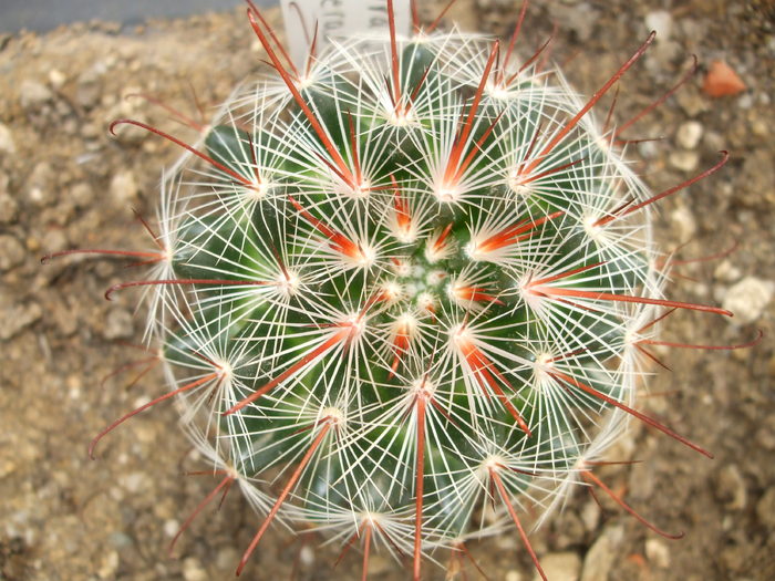 DSCF5719