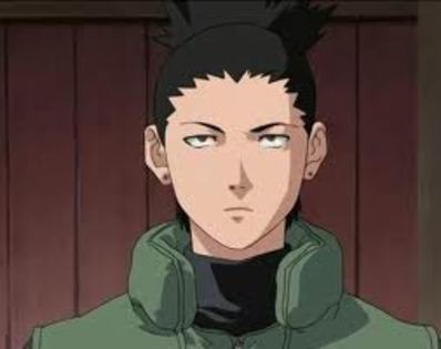 shikamaru - Printesa si Cavalerul