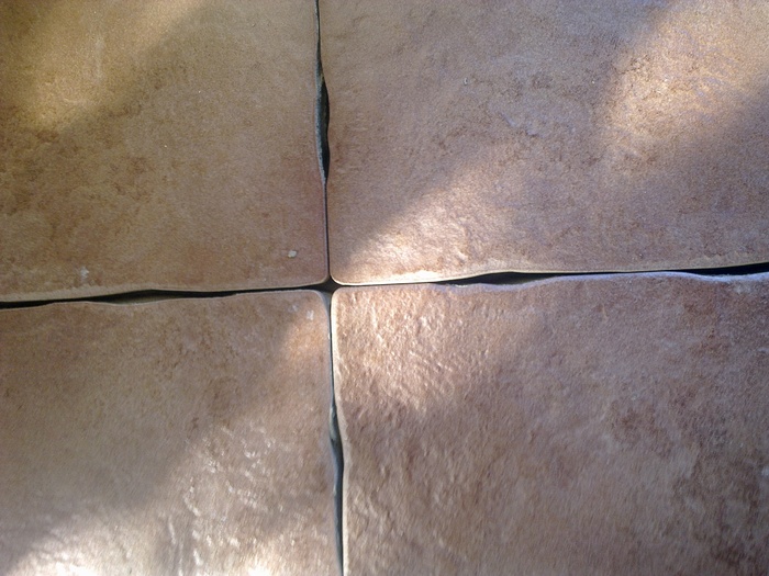 gresie-fitosa-lunca-bradului