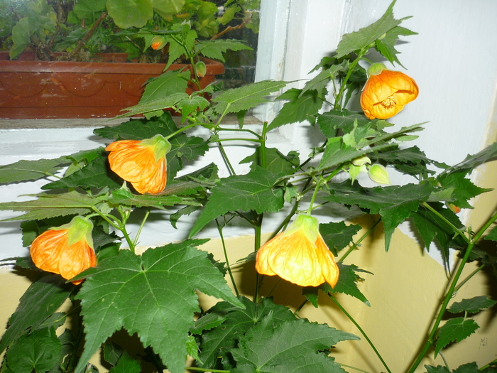 8 oct 2010