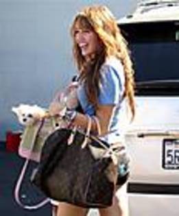 miley-cyrus_COM-hollywood2008oct10-0007 - Cateva poze cu Miley Cyrus