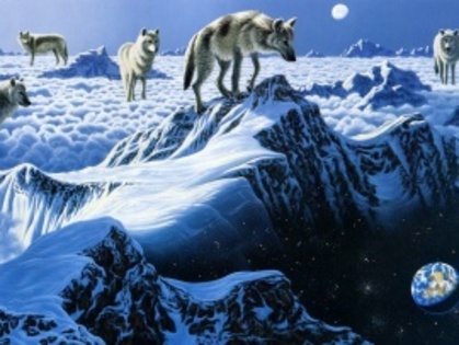 schimmel_art__arctic_wolves-t2