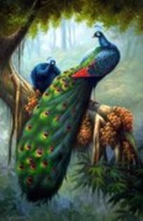 20871965_LIGAMJZME - pasari si animale