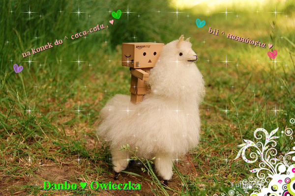 0070982567 - 0-000Cutiutssa Danbo