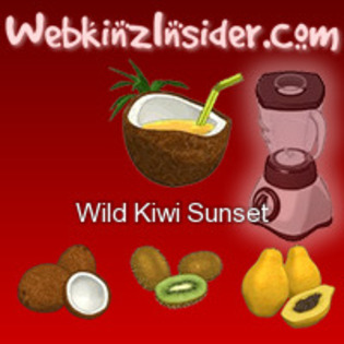 webkinz-blender-recipe - mancare webkinz