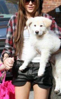  - 0 A MILEY CYRUS POZE EXTREM DE RARE A 0