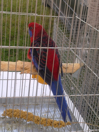 %u0635%u0648%u0631%u0629%u0660%u0663%u0668%u0662 - BPBORZA2010