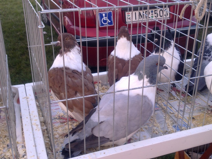 %u0635%u0648%u0631%u0629%u0660%u0663%u0667%u0665 %u0635%u0648%u0631%u0629%u0660%u0663%u0667%u0665