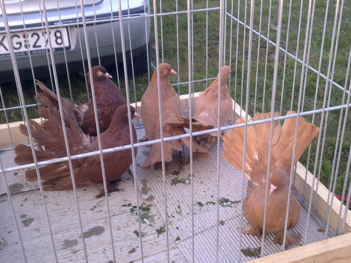 %u0635%u0648%u0631%u0629%u0660%u0663%u0667%u0668 %u0635%u0648%u0631%u0629%u0660%u0663%u0667%u0668