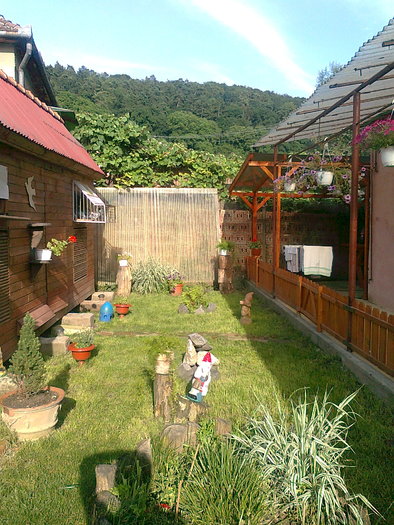 Un loc unde ma simt bine - Porumbei voiajori