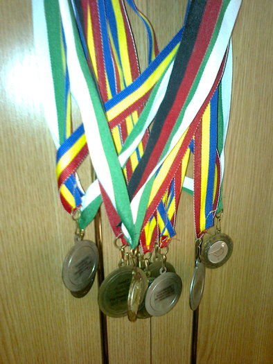 Cate ceva din rodul muncii mele - Porumbei voiajori