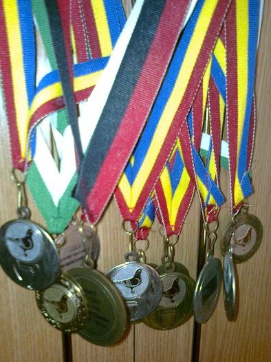 Munca mea si a porumbeilor - Porumbei voiajori