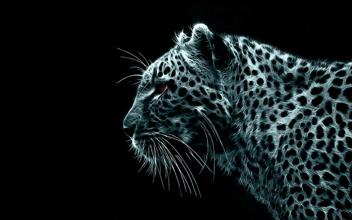 Mac_Snow_Leopard