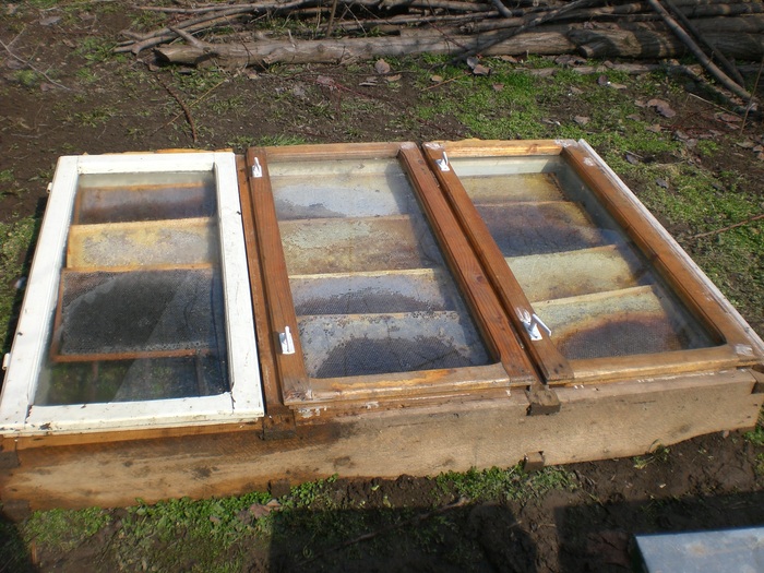 CIMG3434; Rame la incalzit2
