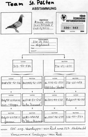 AUS-2004-336-563 - Pedigree