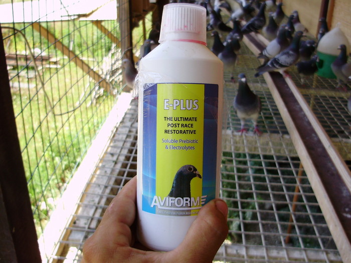 P3230045 - produse si mancare pentru porumbeii