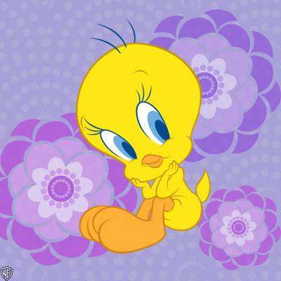 mary97 - 00Club Tweety00-TERMINAT