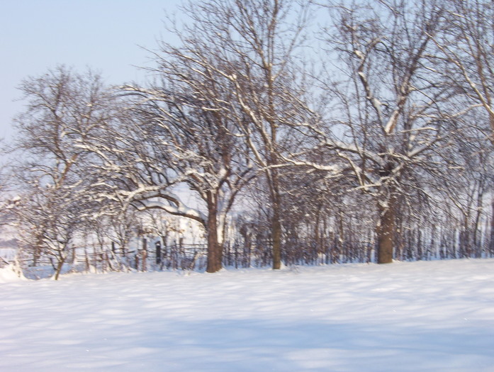Picture 174 - iarna