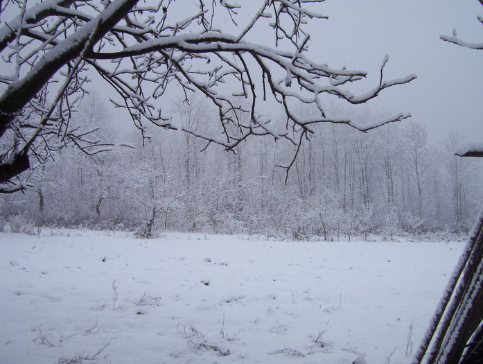 Picture 363 - iarna