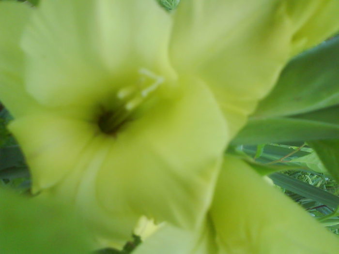 DSC02722
