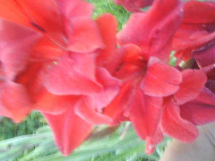 DSC02727
