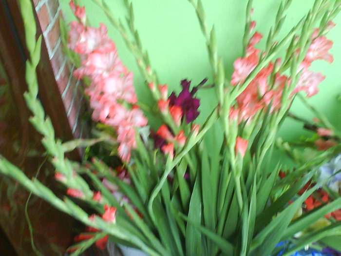 DSC02804