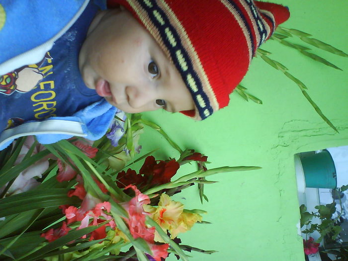 DSC02818 - gladiole 2010