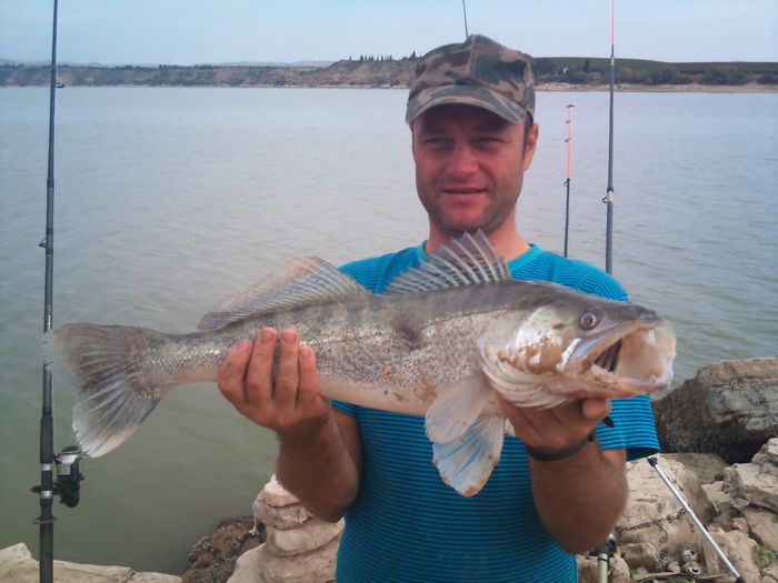 DSC_0139 - La peste pe Ebro oct 2010